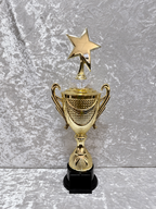 Trofeo Copa Dorada Premium con Estrella y Diamante Decorativo Personalizable