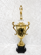 Trofeo Copa de Baloncesto con Opciones de Diamante