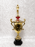 Trofeo Copa de Baloncesto con Opciones de Diamante