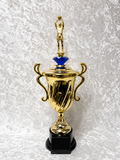 Trofeo Copa de Baloncesto con Opciones de Diamante