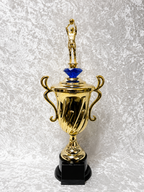 Trofeo Copa de Baloncesto con Opciones de Diamante