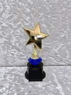 Trofeo Estrella Dorada Premium con Diamante de Color y Placa Personalizable