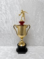 Trofeo de Baloncesto con Copa Dorada y Opciones de Diamante