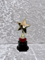 Trofeo Estrella Dorada Premium con Diamante de Color y Placa Personalizable
