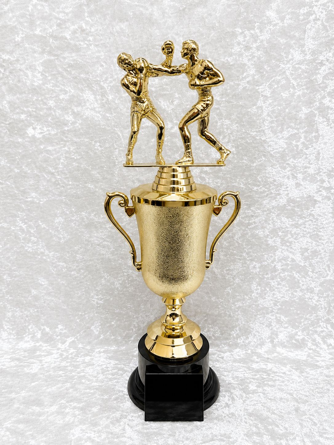 Trofeo Copa de Boxeo con Dos Peleadores