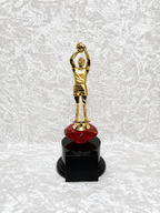 Trofeo de Jugador de Baloncesto con Opciones de Diamante