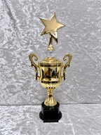 Trofeo Copa Dorada Premium con Estrella Grande, Diamante de Color y Placa Personalizable