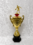 Trofeo de Baloncesto con Copa Dorada y Opciones de Diamante