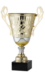 Gold Championship Trophy Cup
