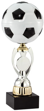 Soccer Champion Award Trophy
