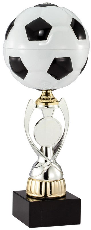Soccer Champion Award Trophy
