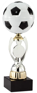 Soccer Champion Award Trophy
