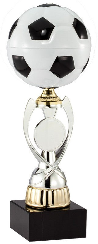 Soccer Champion Award Trophy