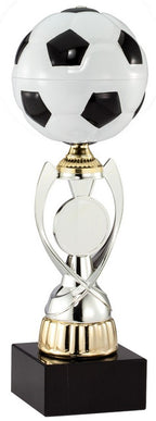 Soccer Champion Award Trophy