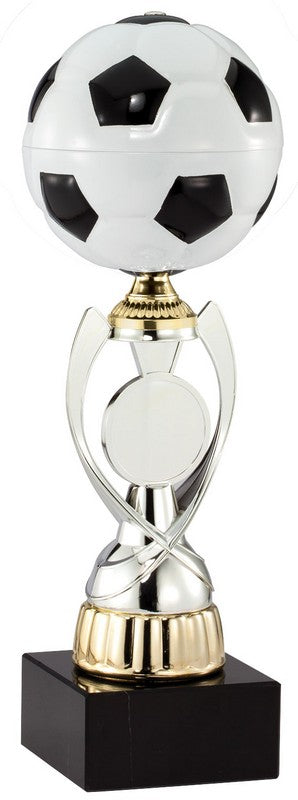 Soccer Champion Award Trophy