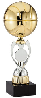 Basketball Champion Award Trophy