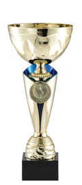Gold Insert Cup Trophy