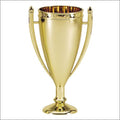 Stippled Flame Gold Trophy Cup
