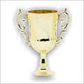 European Style Gold Trophy Cup
