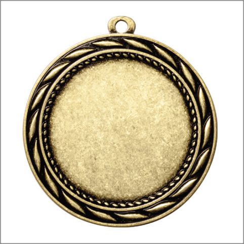 2 ¾" Insert Medal – Bronze Custom Award Medal
