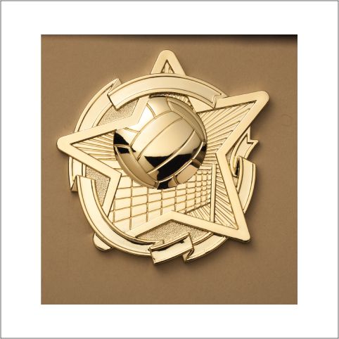Volleyball Star Plaque Mount – 4½" Award Plaque Topper