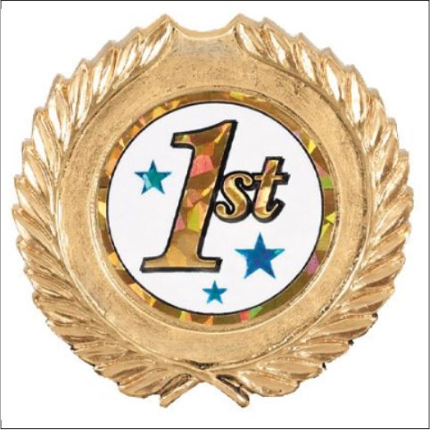 Resin Medallion Holder Plaque Mount – 3¾" Insert Holder