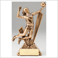 Checkmate Series Volleyball Resin Trophy – 6½"