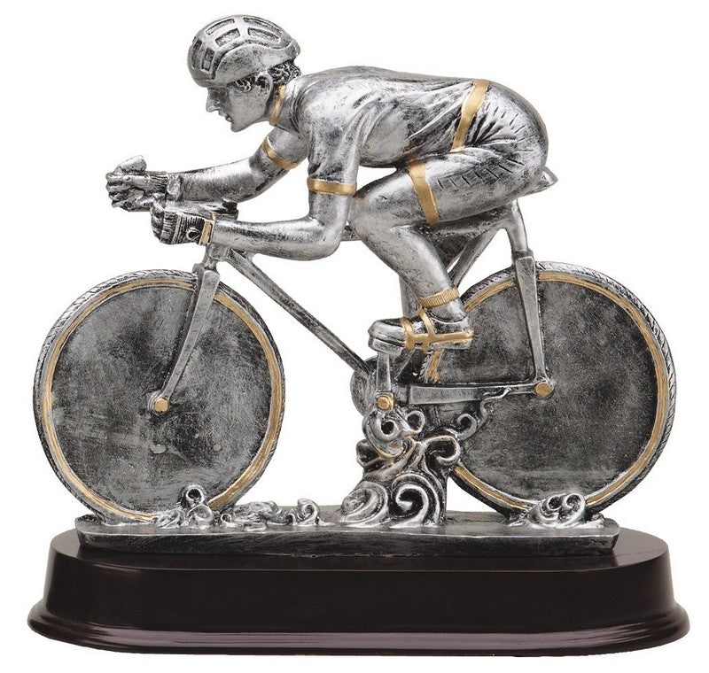 Silver & Gold Cycling Champion Trophy – 9"