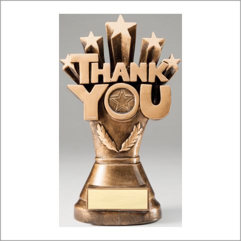 Thank You Resin Award – 8¼"