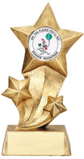 Star Design Trophy with 2" Insert Holder – 9 ½" Resin Award