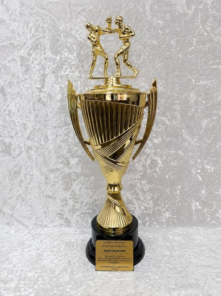 Custom Boxing Champion Trophy Cup with Personalized Plate