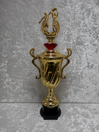 Trofeo Copa de Baloncesto con Jugadores